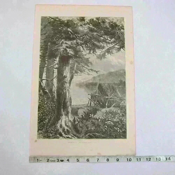 Art Print Hemlock Trees Lake Otsego New York Nature John A. Hows Antique 1874 - Picture 9 of 12